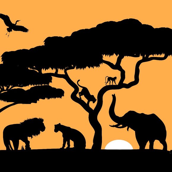 Hi - Picture 2 of 16